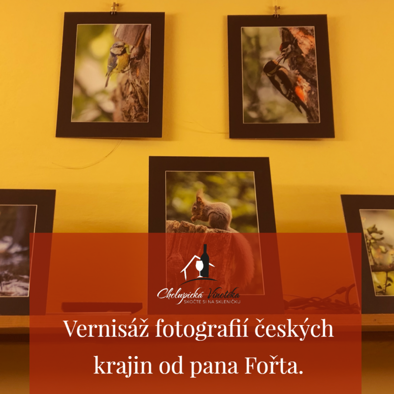 Nová kolekce fotografií z přírody a měst od pana Fořta.
