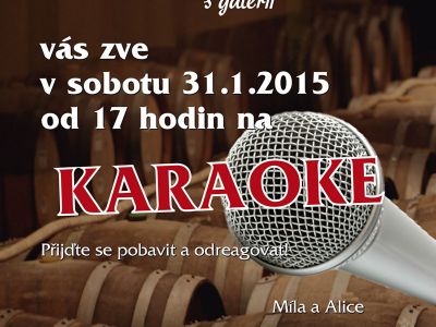 Karaoke - 31.ledna 2015