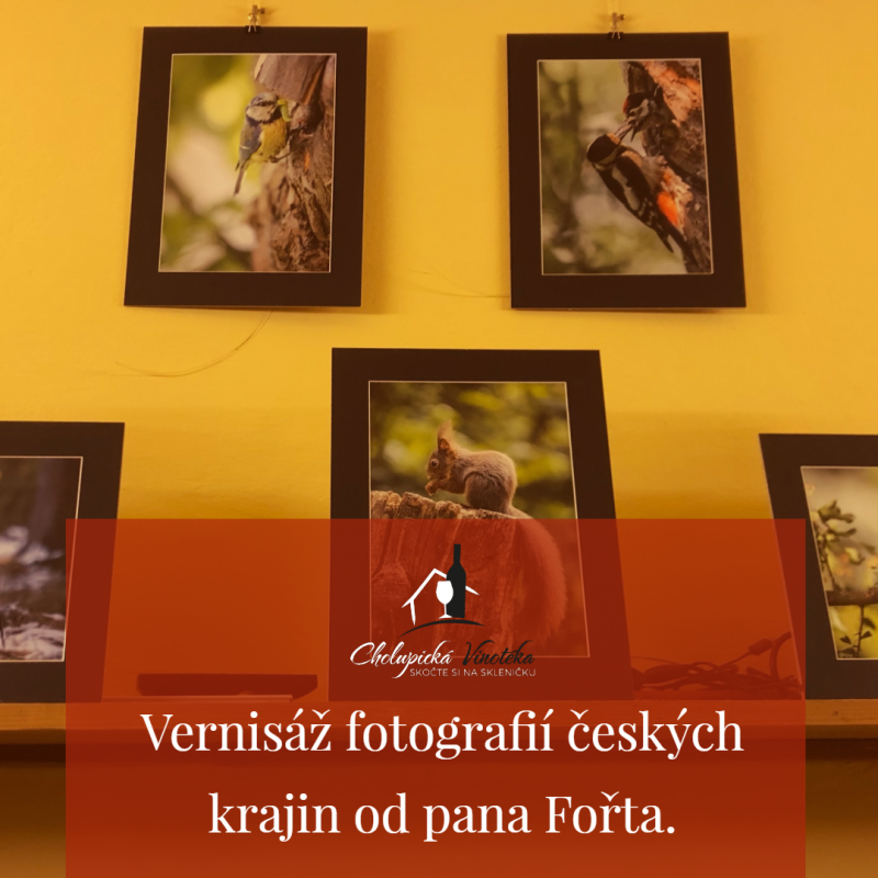Nová kolekce fotografií z přírody a měst od pana Fořta. Nová kolekce fotografií z přírody a měst od pana Fořta.